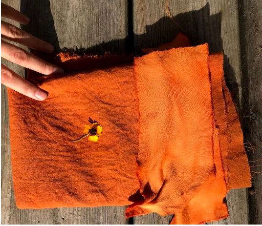 image of hand-dyed fabric made using natural dyes from foraged materials